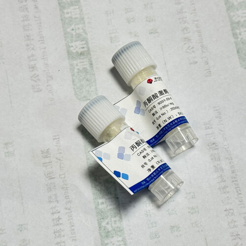 Latest company news about Activité de l'enzyme gardienne: déverrouiller un mot de passe biocatalytique efficace