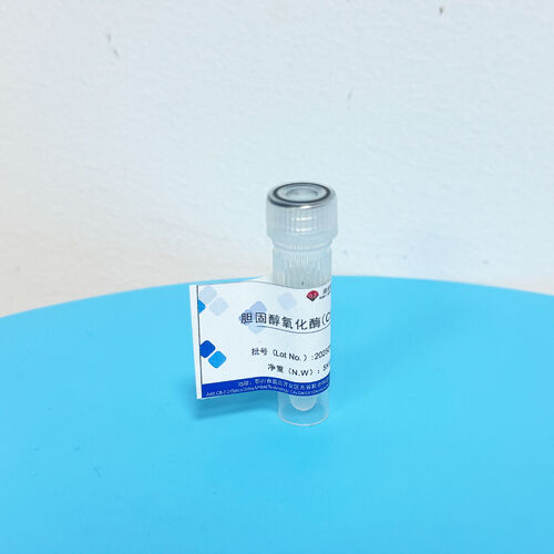 Latest company news about Secret de conservation des préparations enzymatiques : Protection scientifique de l'activité catalytique