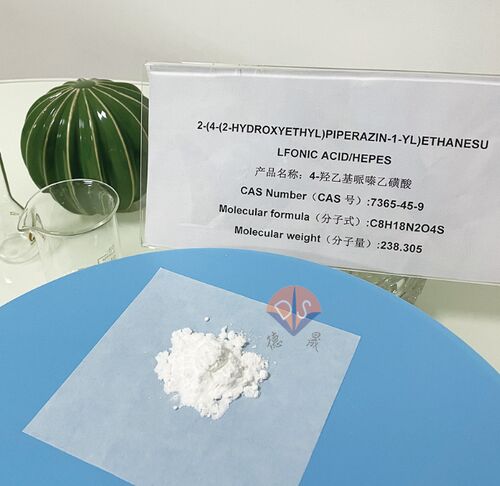 Latest company news about HEPES tampon: ouverture d'un nouveau chapitre dans le domaine de la cryoprotection par vitrification des blastocystes